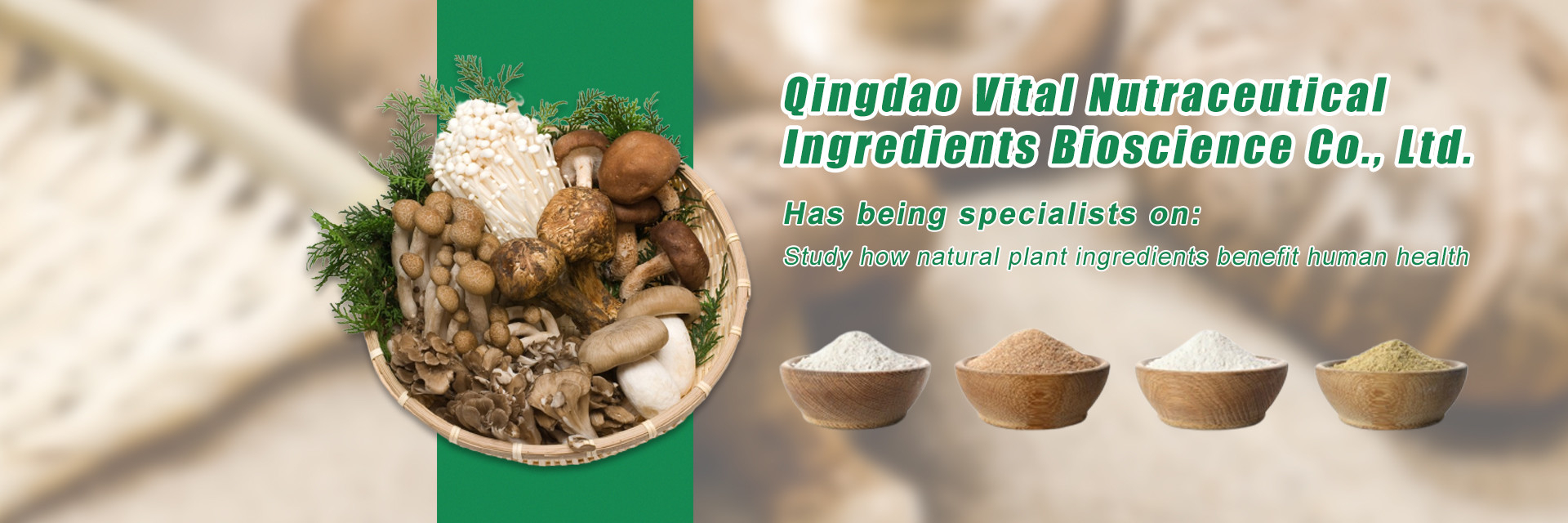 jakość Ekstrakt roślinny fabryka